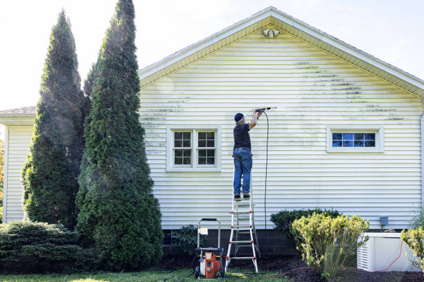 Best Pressure Washing Patio  in Refugio, TX